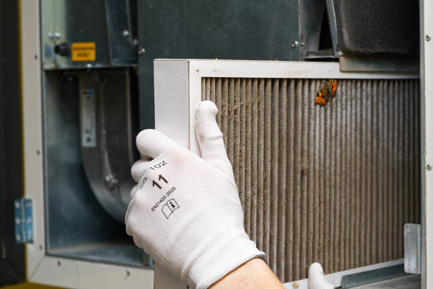 Best Air Duct Cleaning Company Near Me  in Vienna, WV